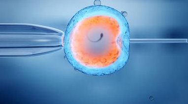 福建泉州十强助孕机构公司名单一览，电话和地址已公布