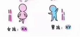 男性少精赴美做试管婴儿，如何实现高成功率