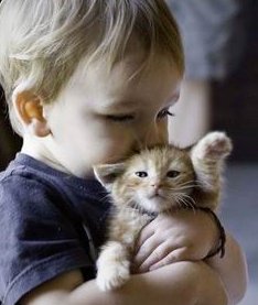 三代试管对子宫有什么要求？如何在日常生活中保养子宫